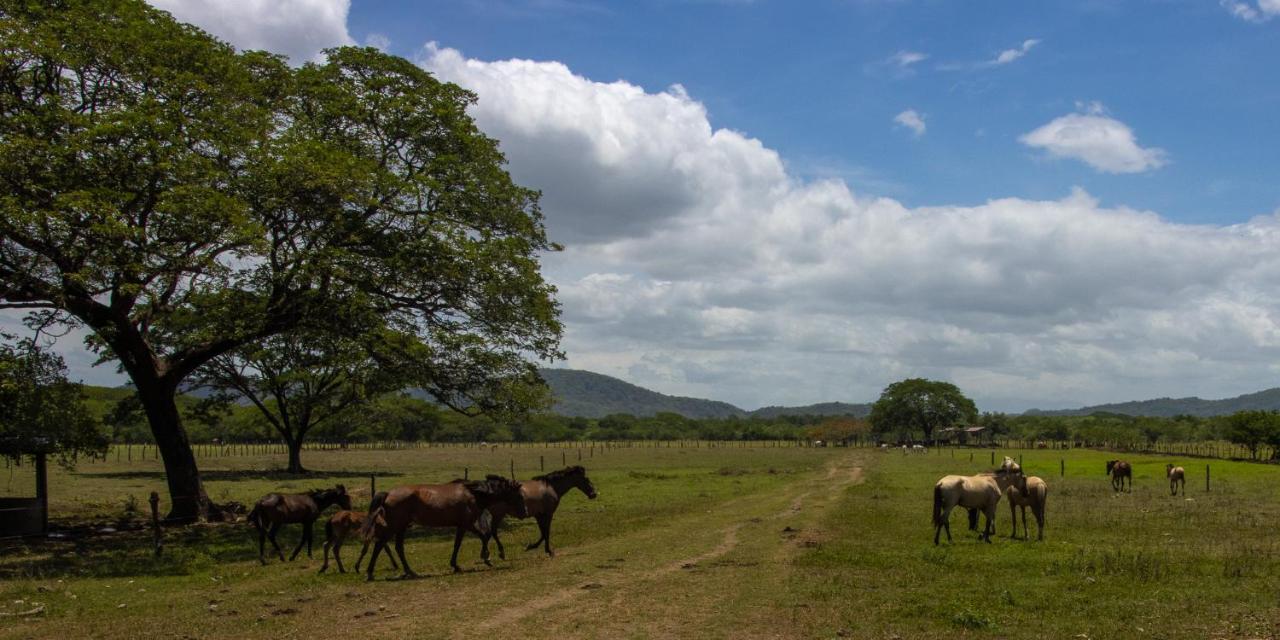 Rancho Humo Estancia Puerto Humo  Exteriér fotografie