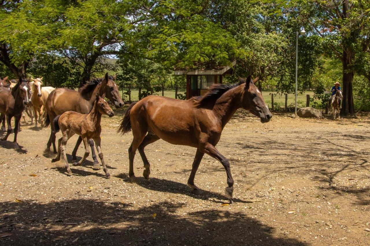 Rancho Humo Estancia Puerto Humo  Exteriér fotografie